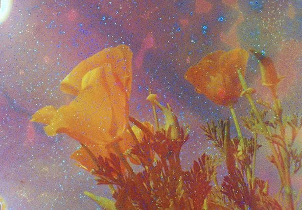 In the Maritime Frequencies by Greta M Snider
