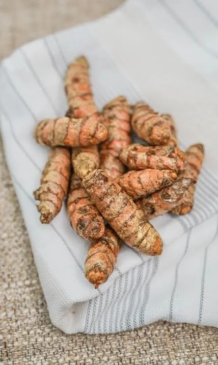 Turmeric “Anti-Inflammatory” Dog Treats