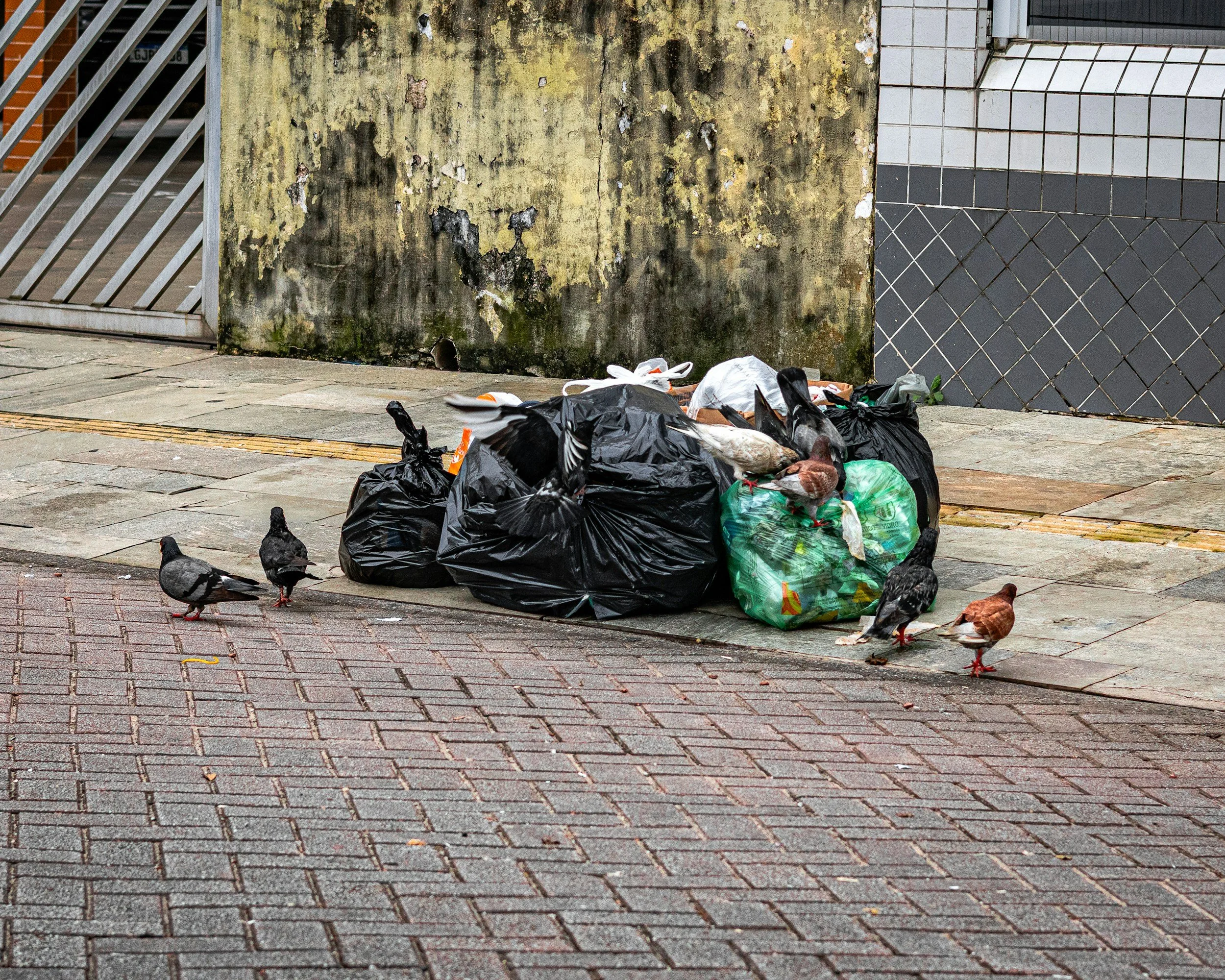 Piles of garbage bags and scattered debris on the sidewalk in front of a weathered, stained wall with a metal gate and tiled wall.