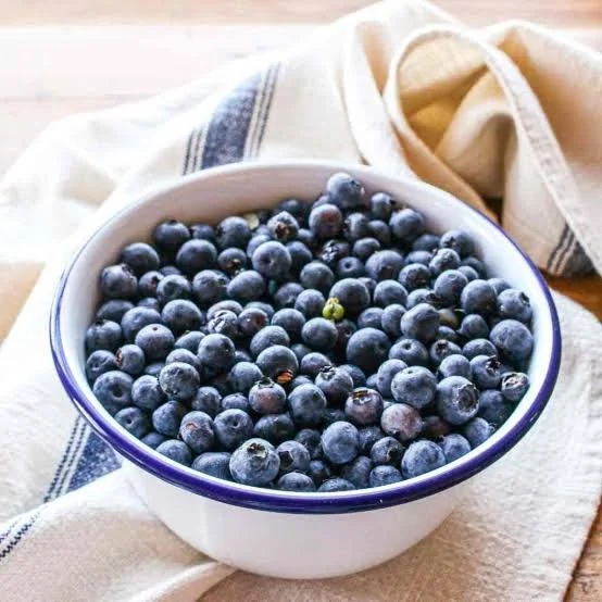Blueberry “Antioxidant” Dog Treats