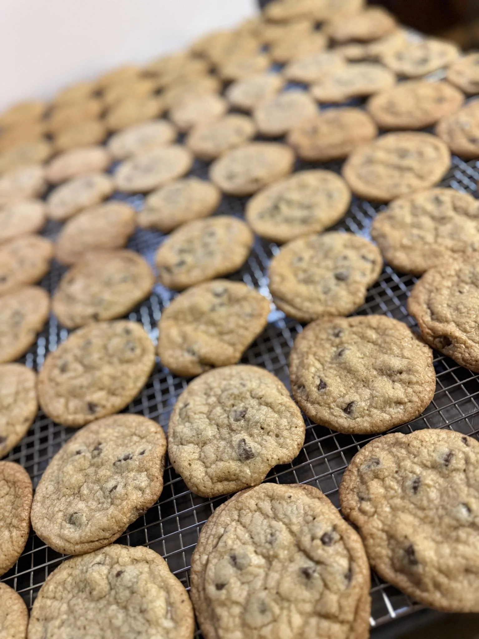 Sourdough Chocolate Chip Cookies