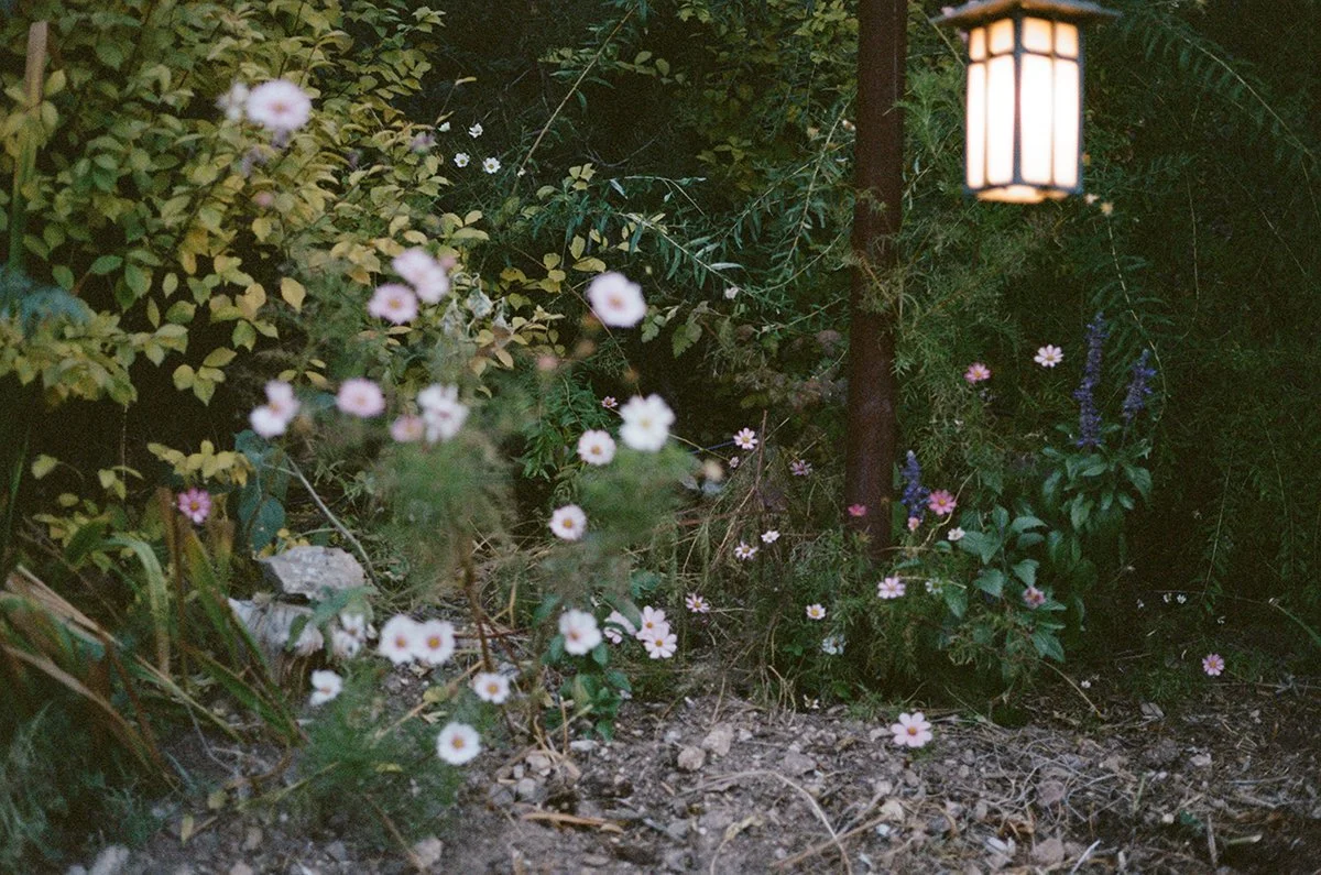 438865_1374_12_12A.jpg