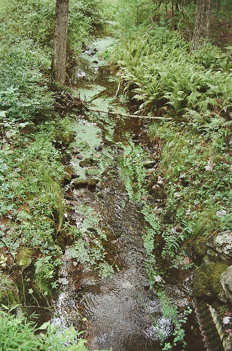 461128_6920_35_36.jpg