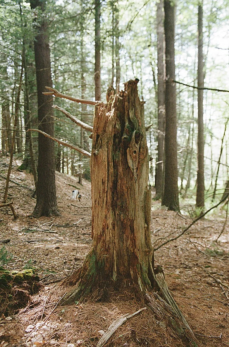 476022_4320_06_7A.jpg