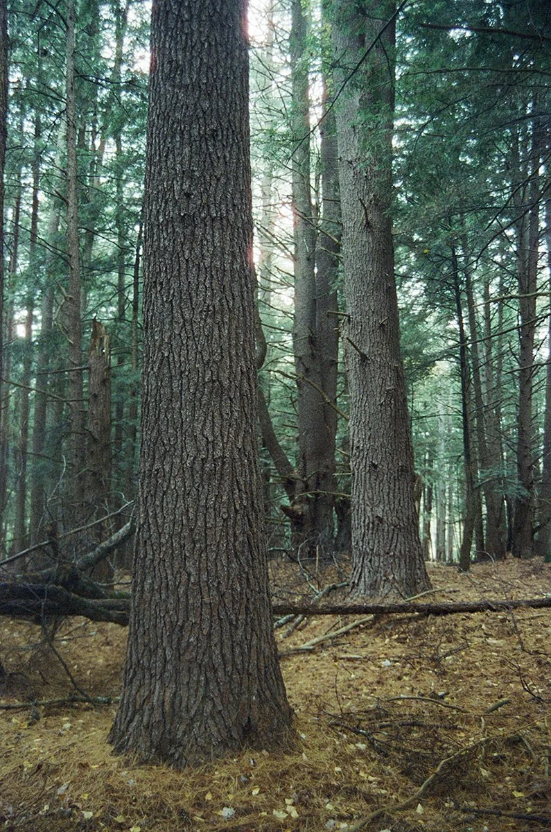 476022_4322_20.jpg