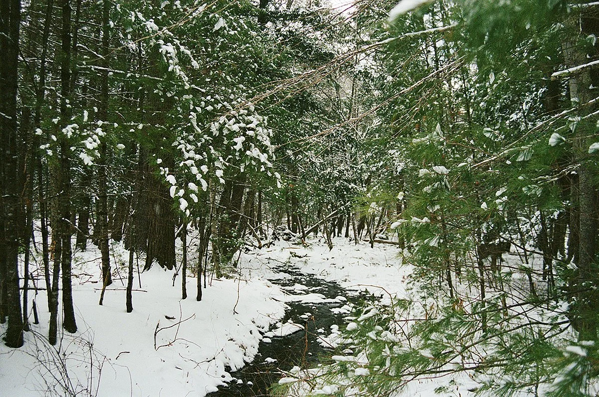 476022_4316_29_29.jpg