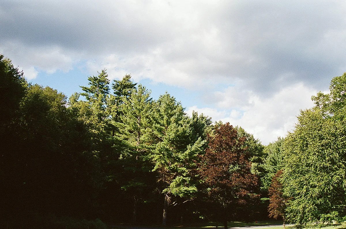 461128_6919_33_33.jpg