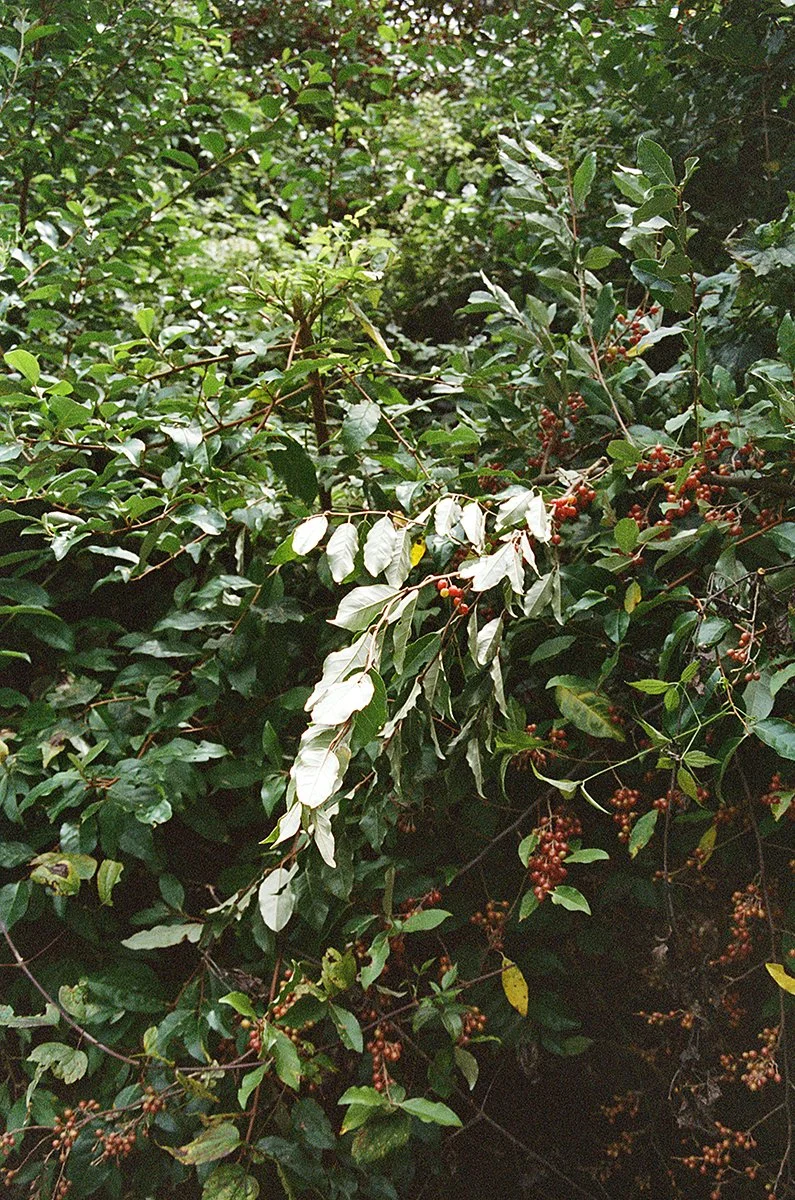 461128_6920_13_14.jpg