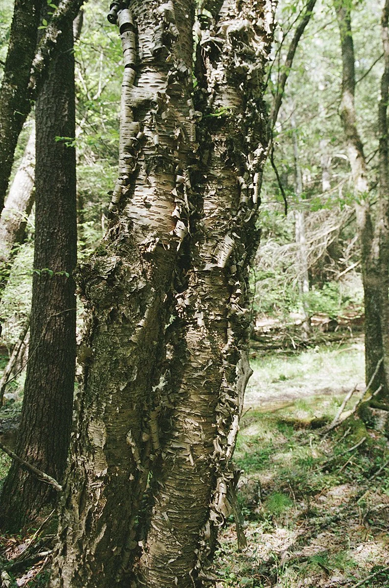 476022_4320_08_9A.jpg