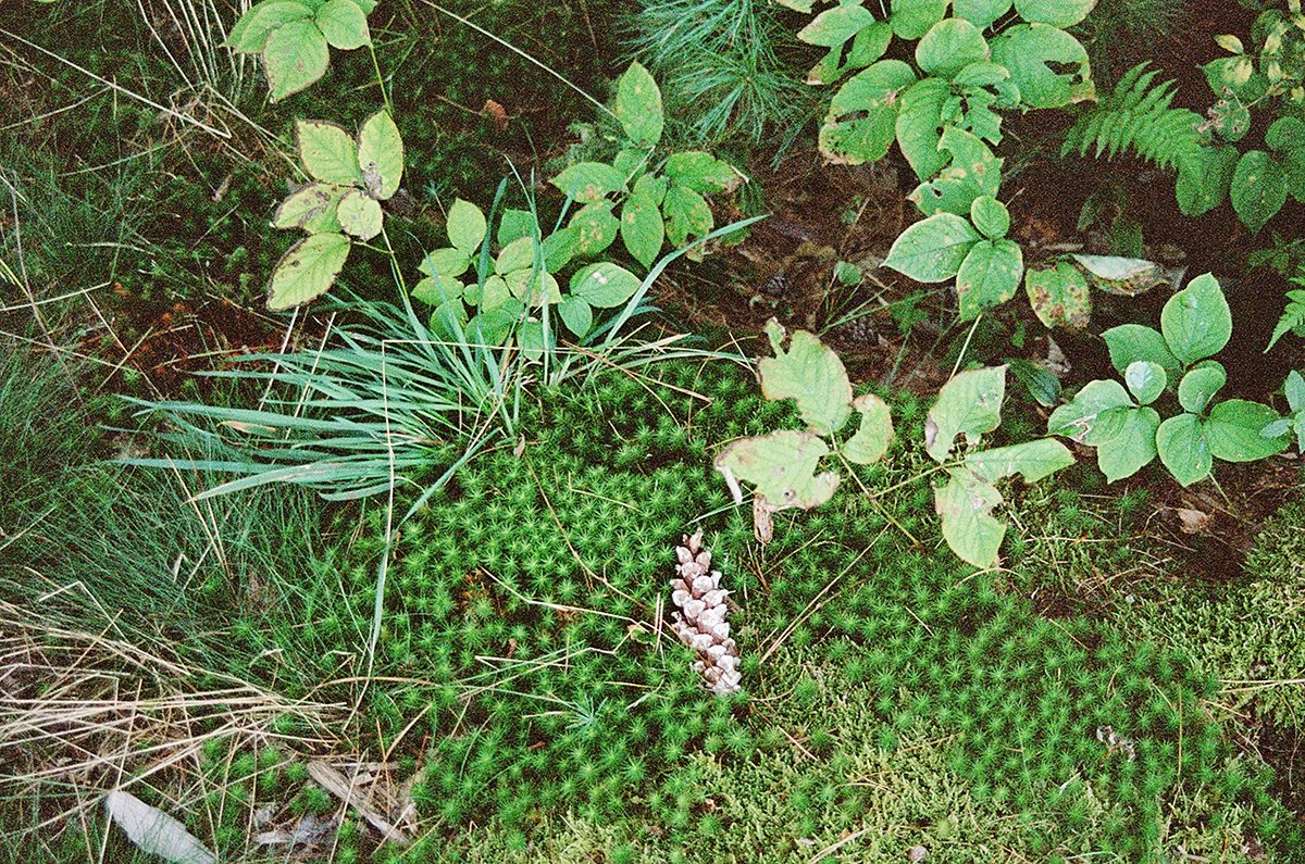 461128_6922_24_24.jpg