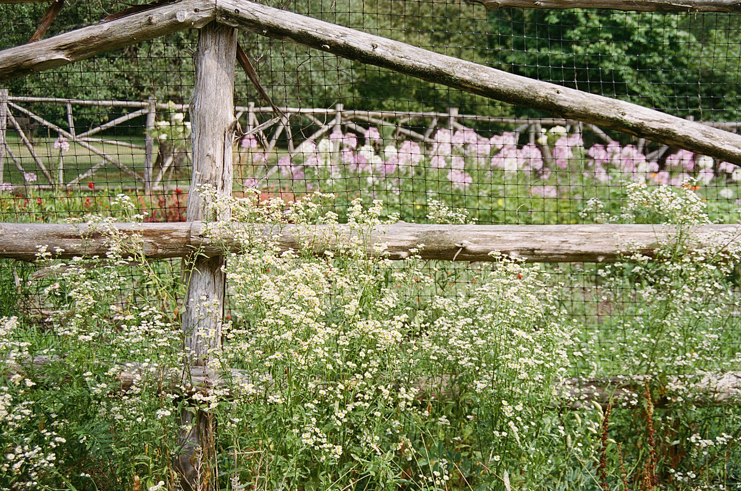 459983_5251_24_25A.jpg