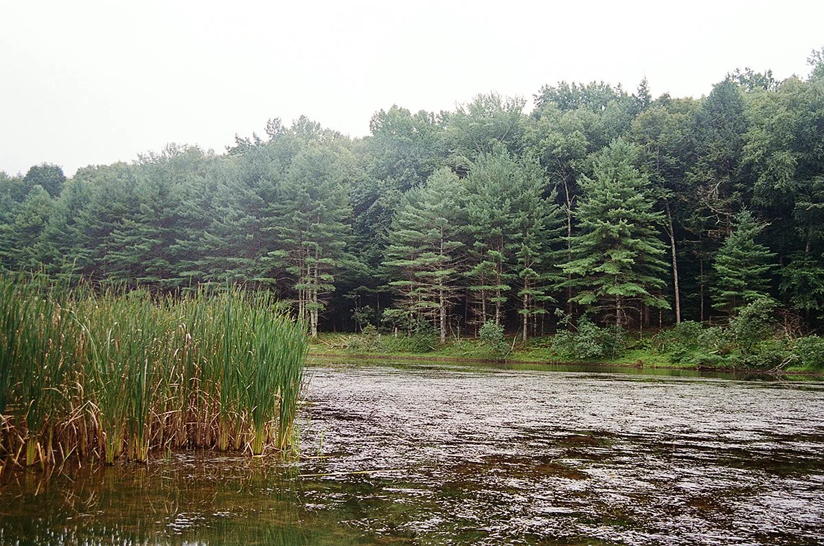 461128_6918_15_16.jpg