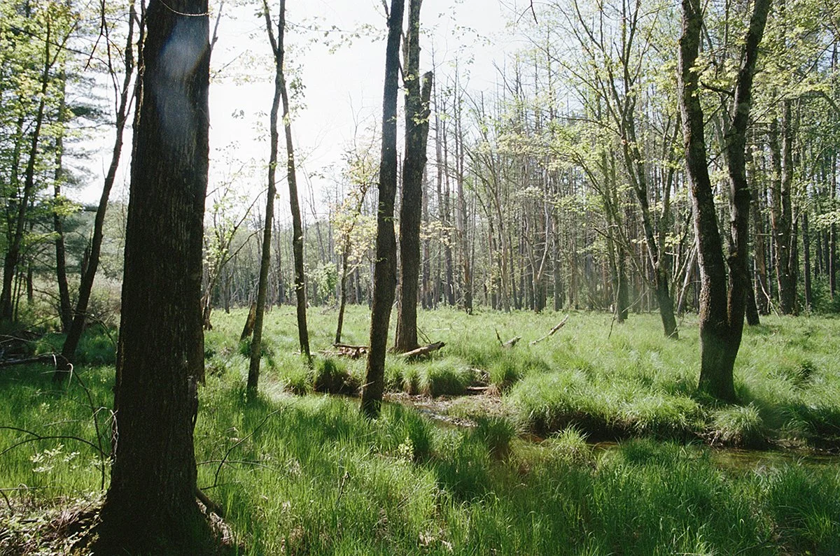 476022_4320_16_17A.jpg