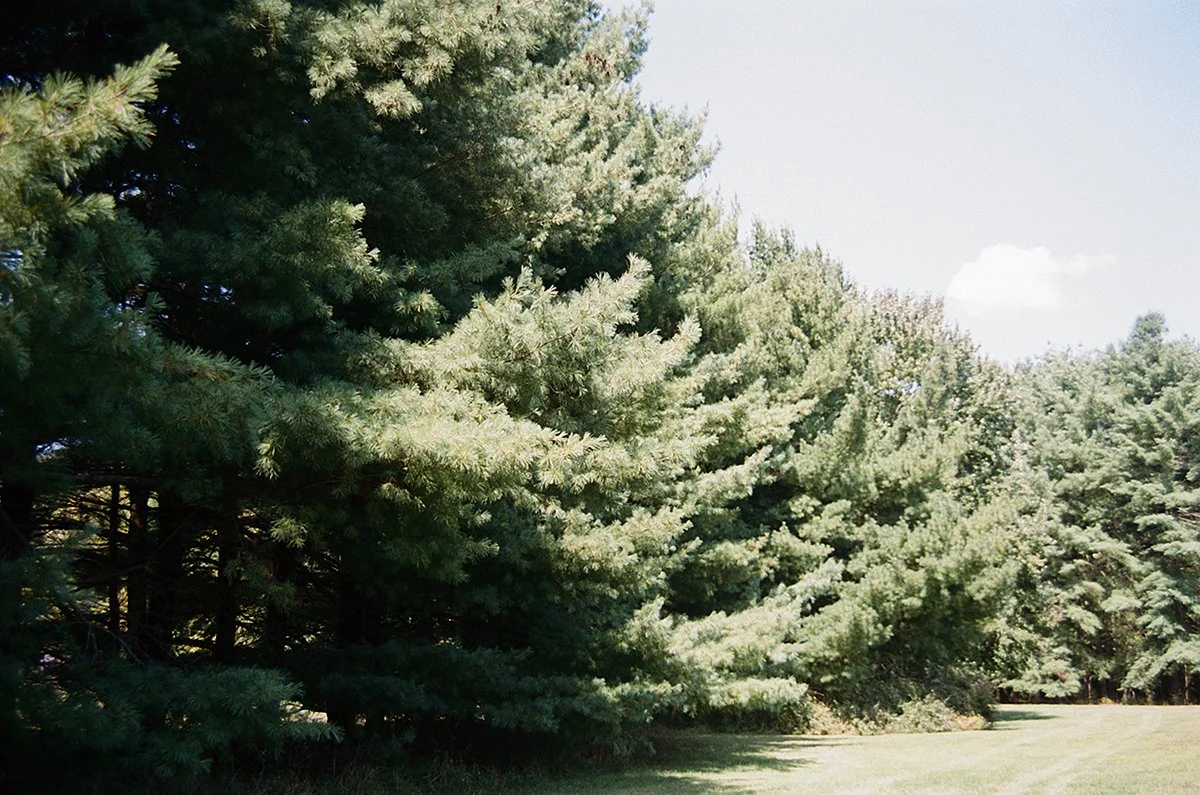 476022_4325_16_17.jpg