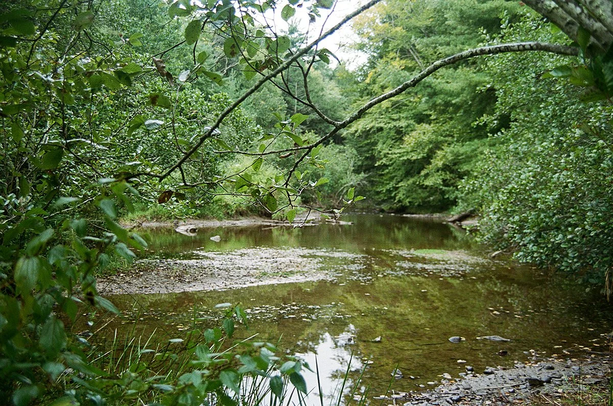 461128_6918_11_12.jpg