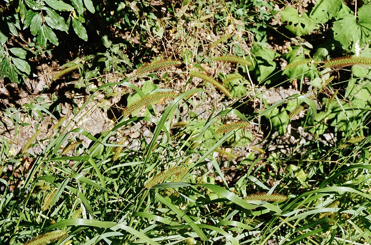 461128_6919_31_31.jpg