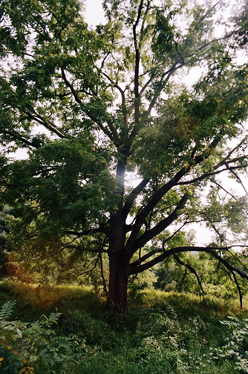 000022020020.jpg