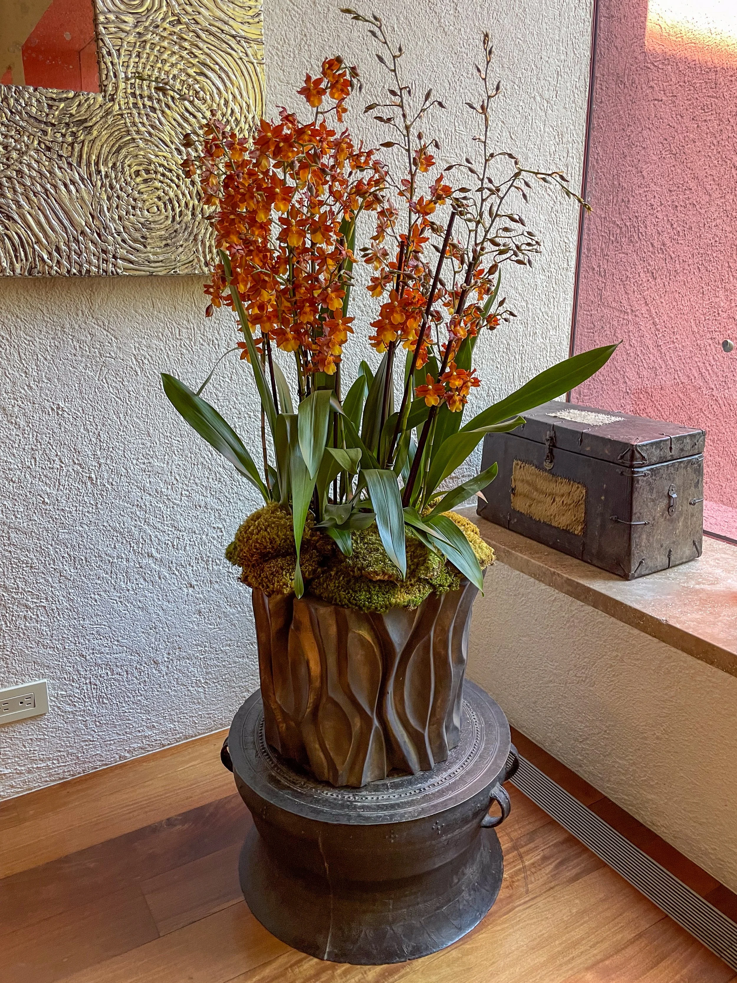  [orchids] 