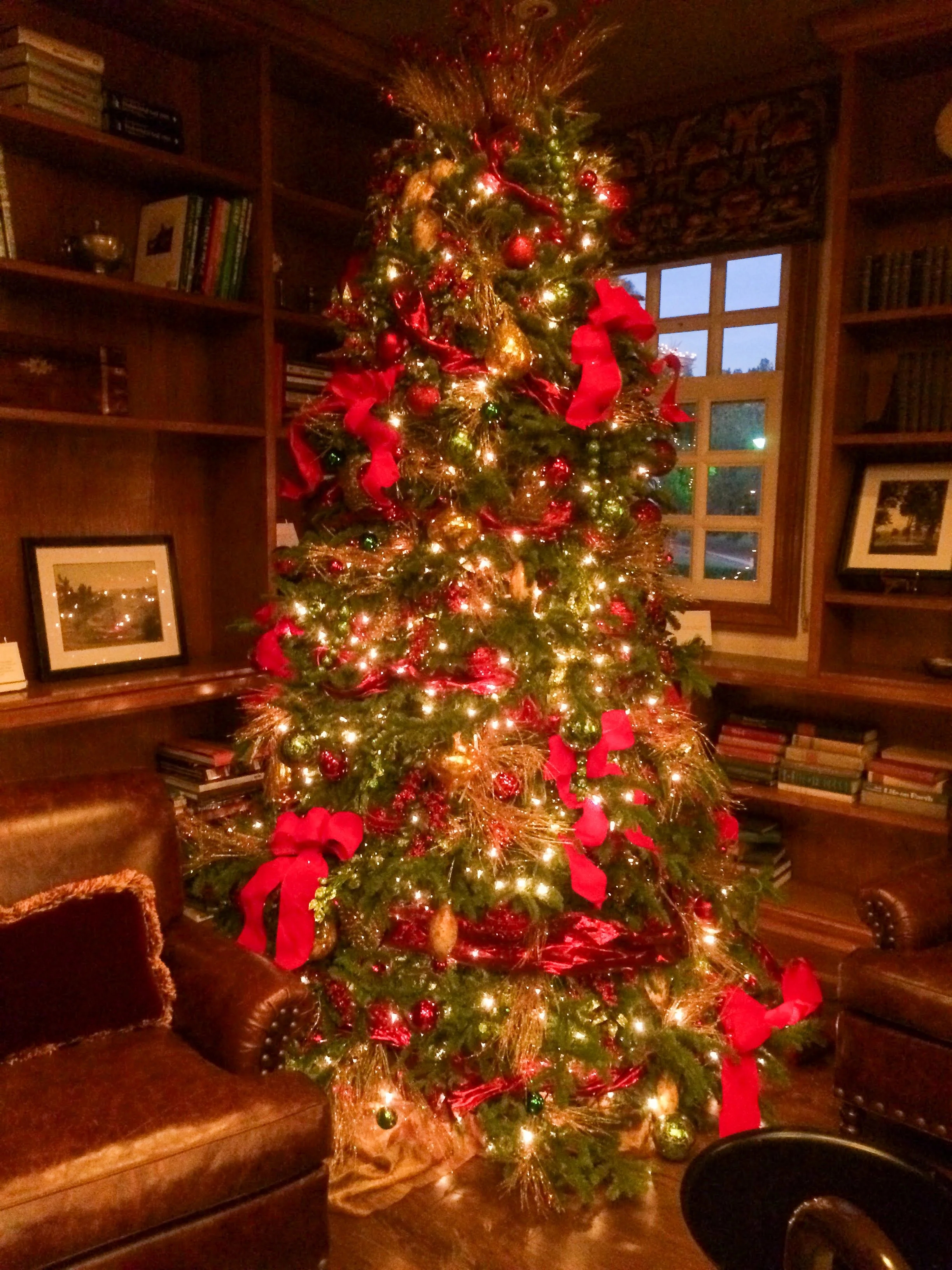 [xmas tree] 