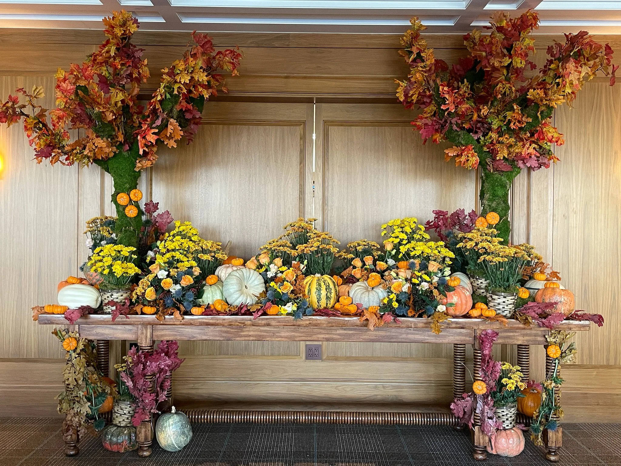  [fall] 