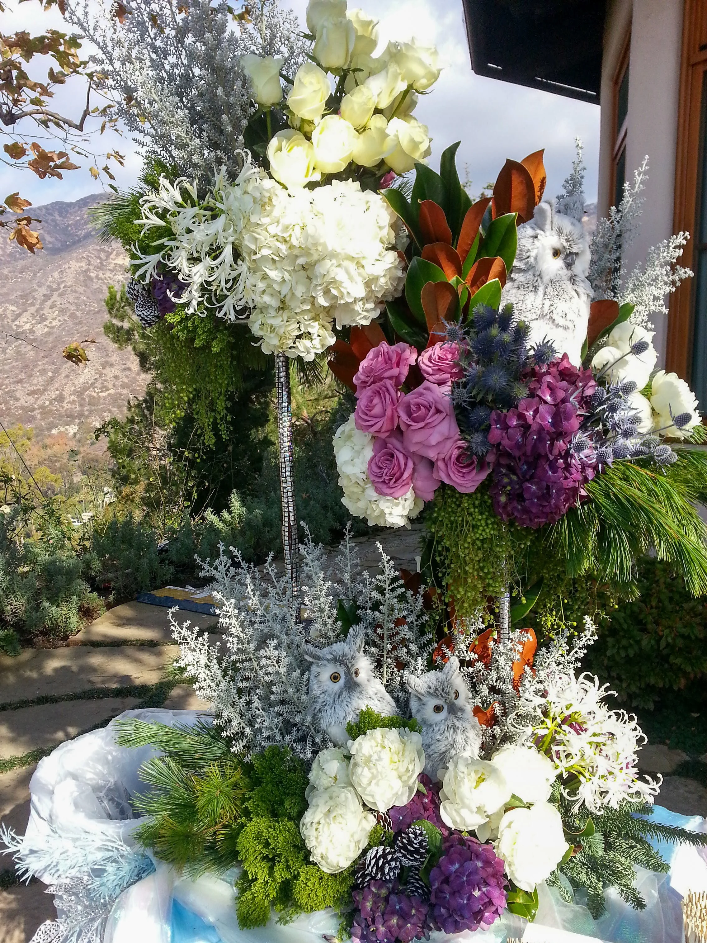 20131221_105625.jpg