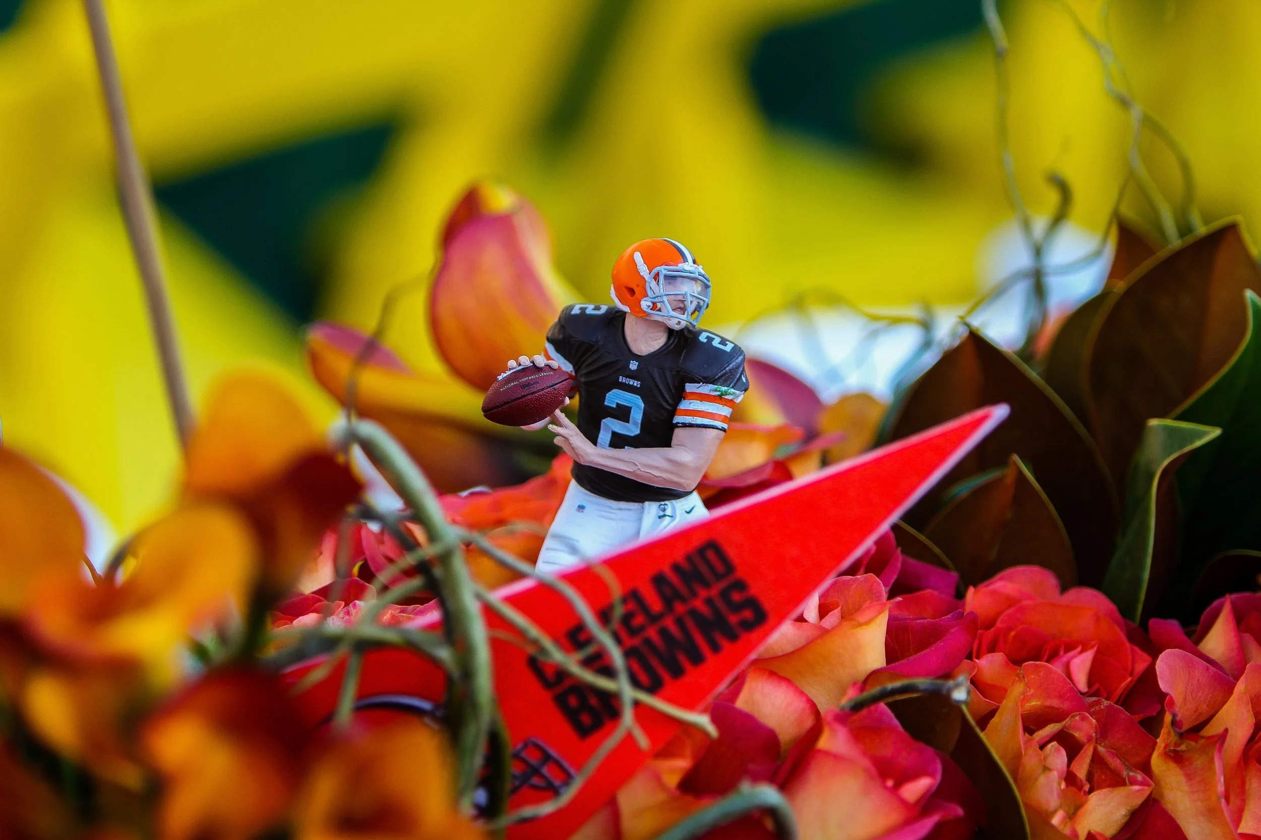 Cleveland Browns.jpg