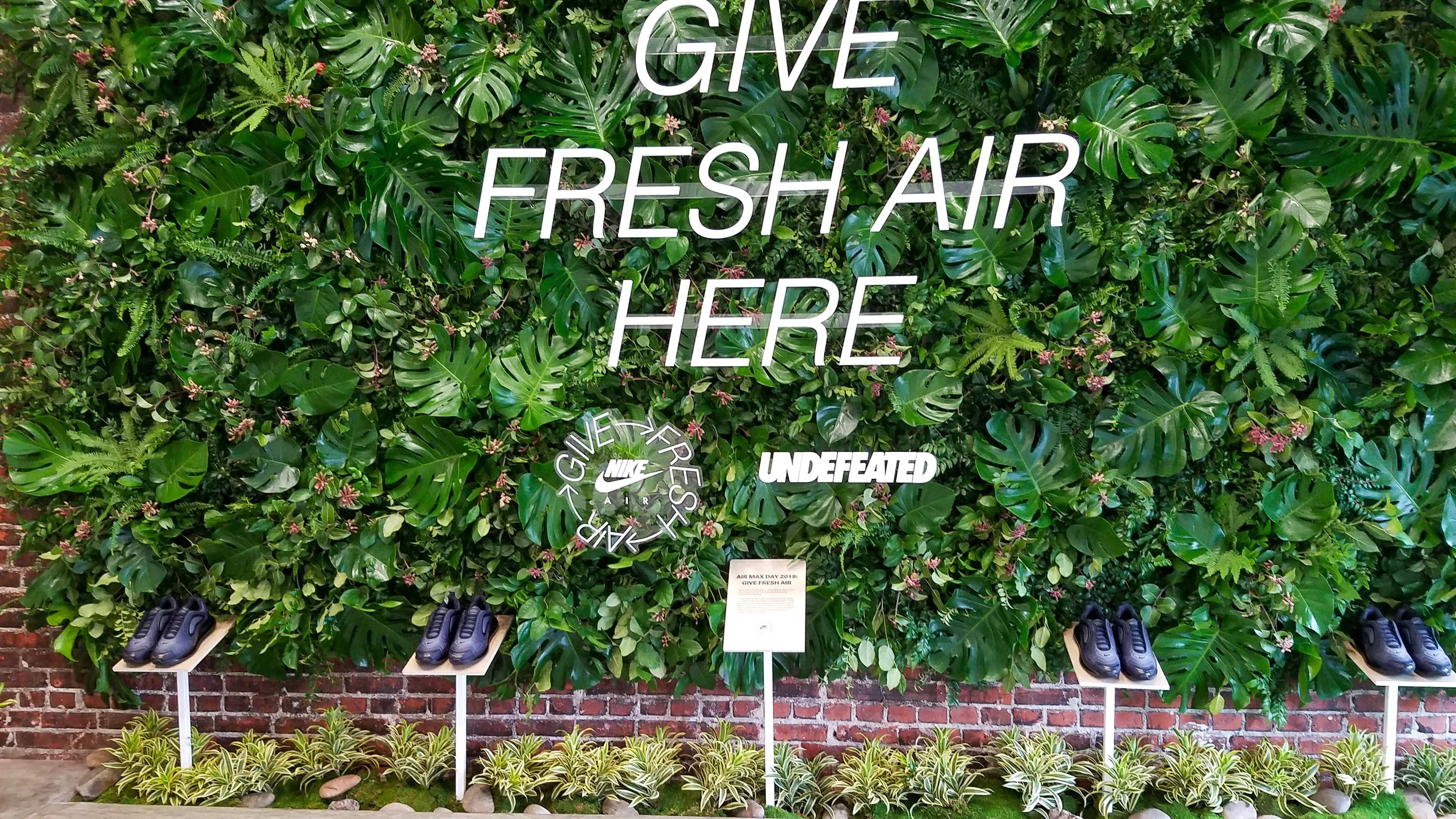 20190323_103437.jpg