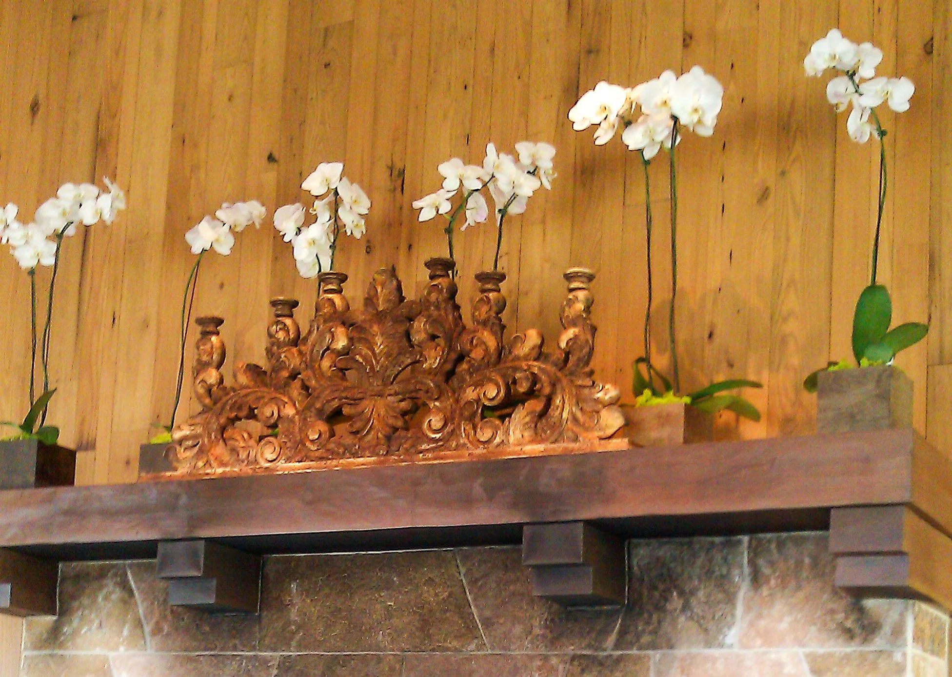 IMAG0534.jpg