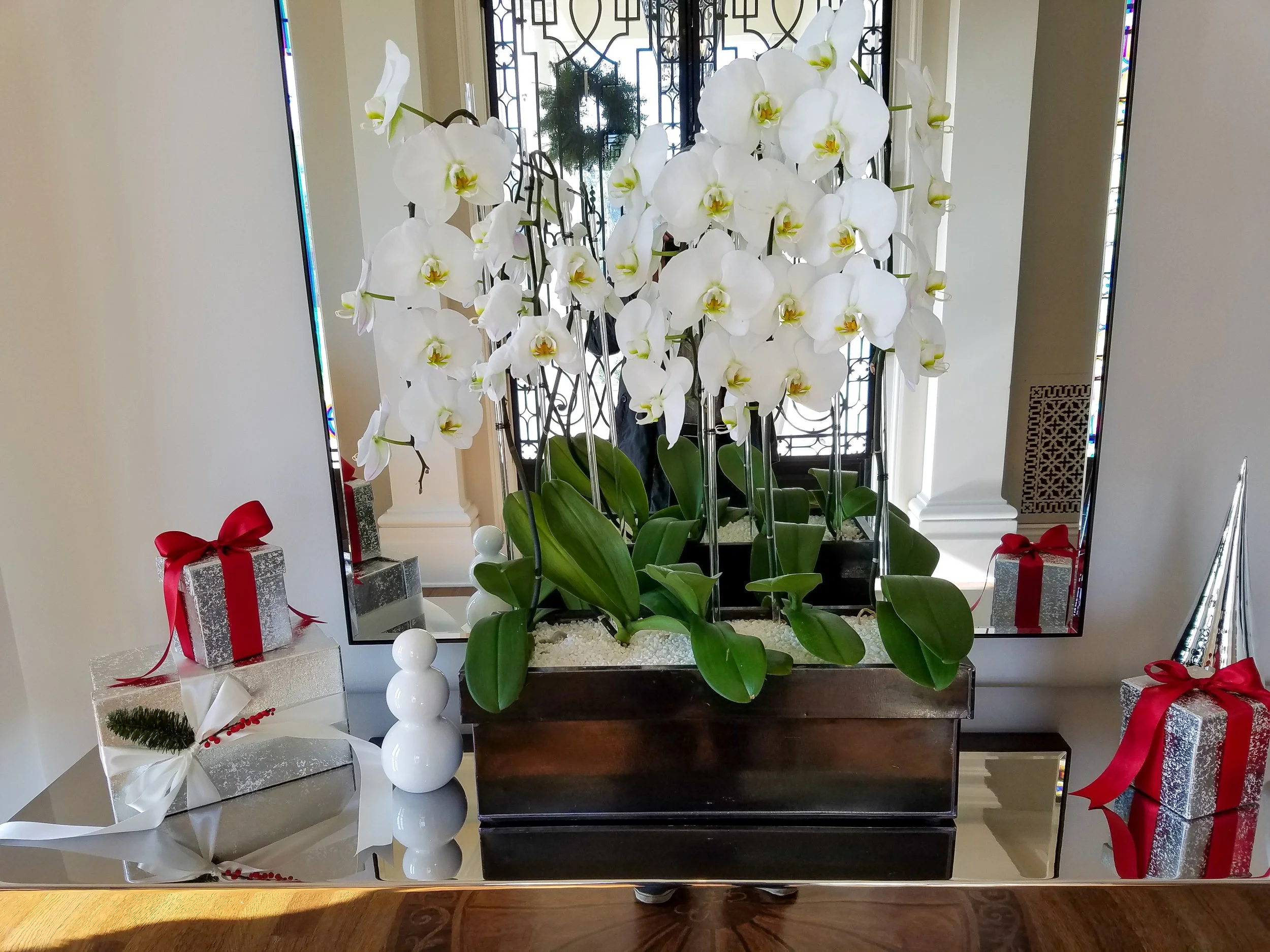 20161205_133204.jpg