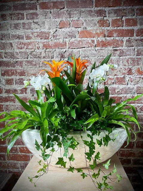 TCC Valet planter Jan, 2025.jpg