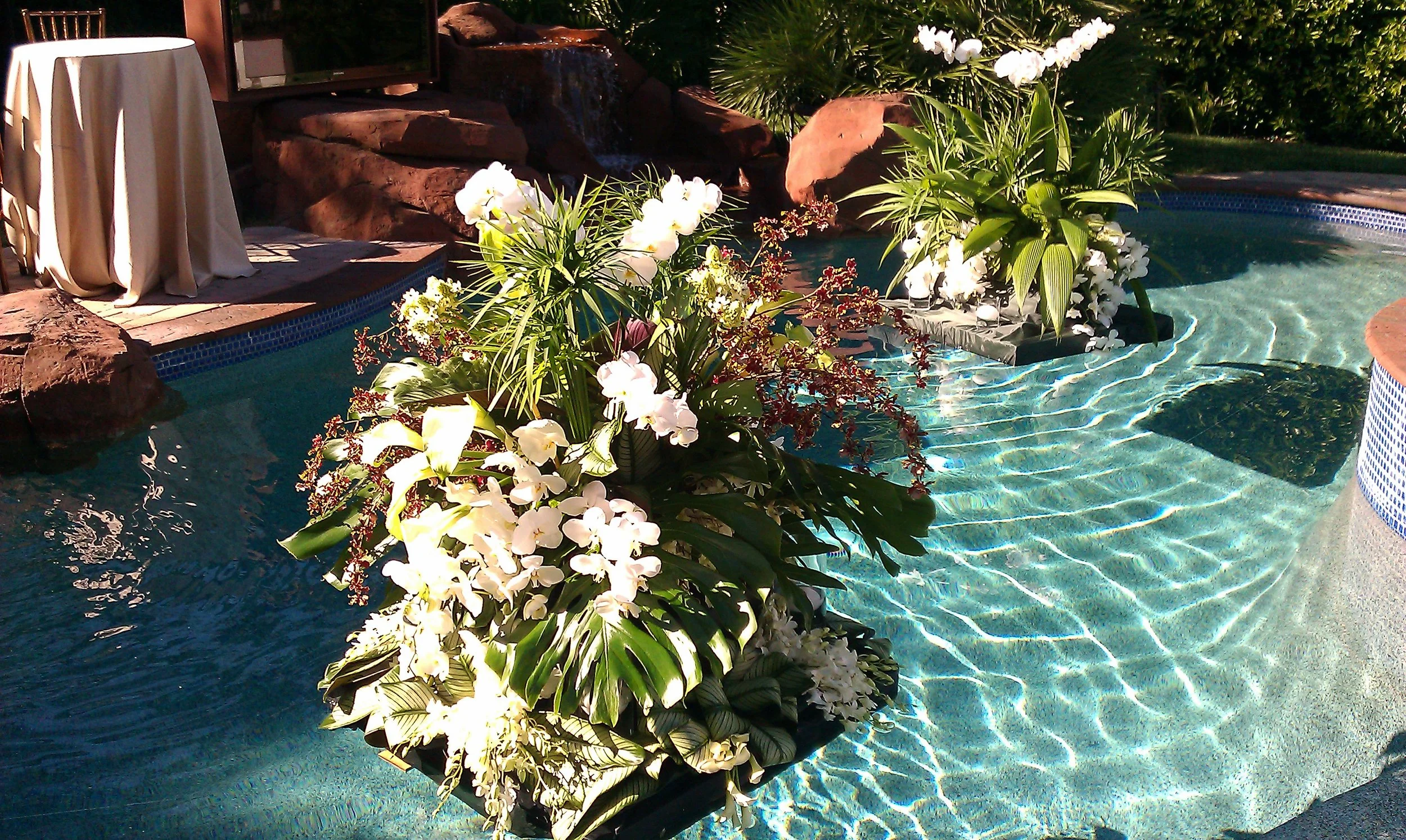 2011-10-08 15.34.39.jpg