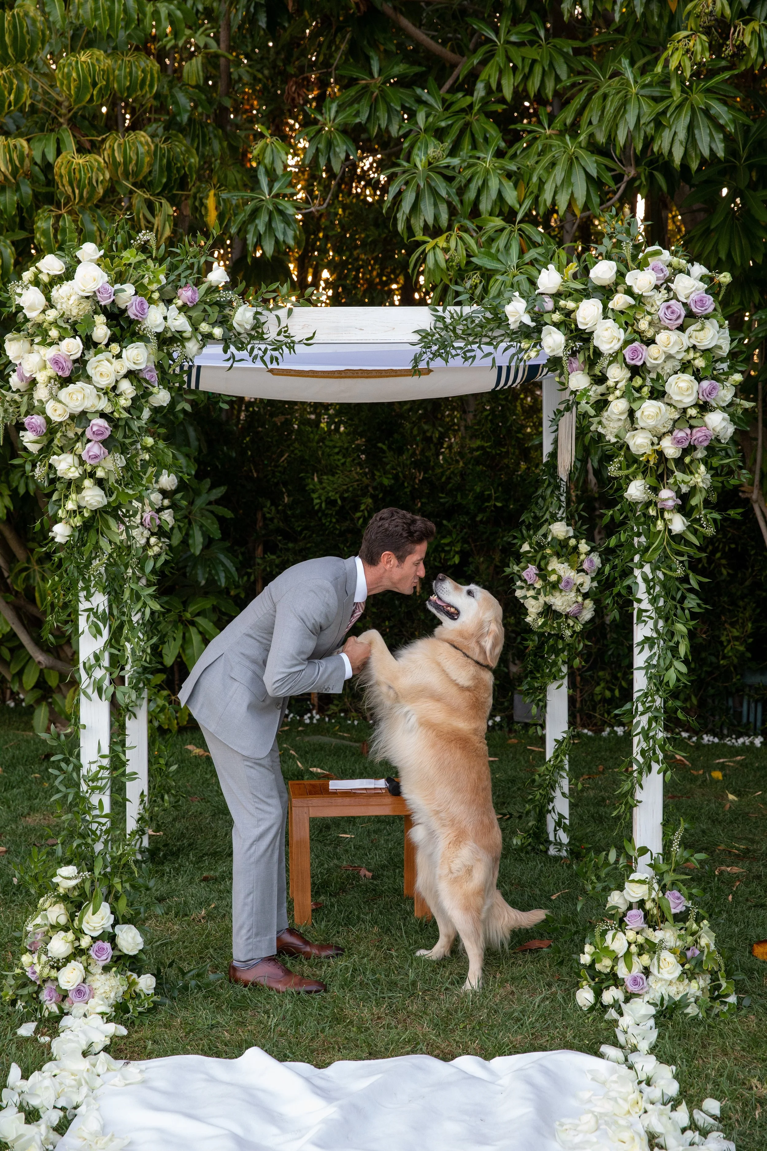  [chuppah] 