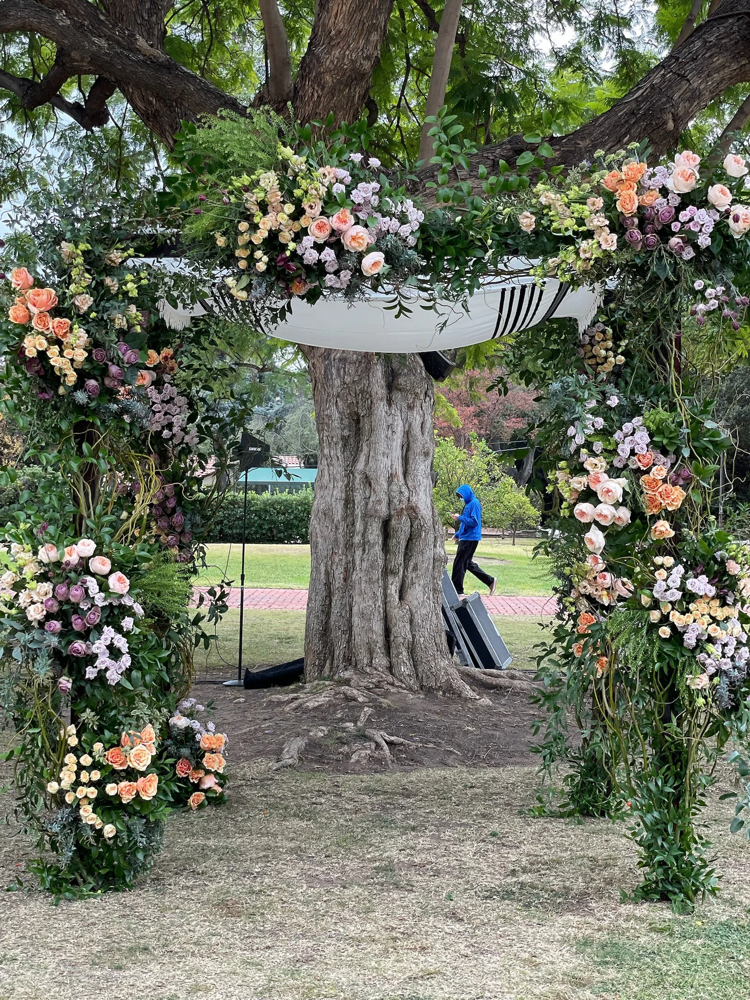  [chuppah] 