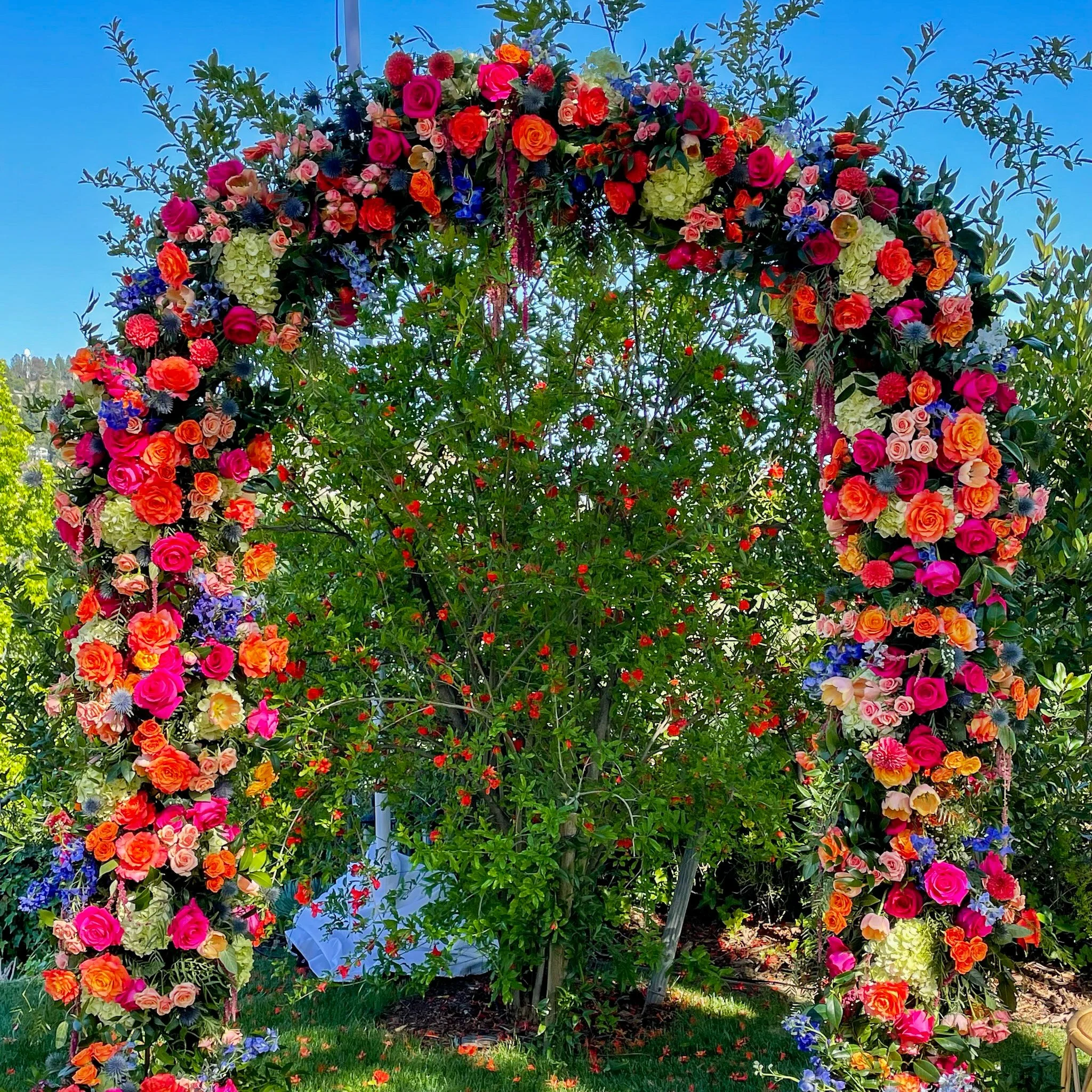  [chuppah] 