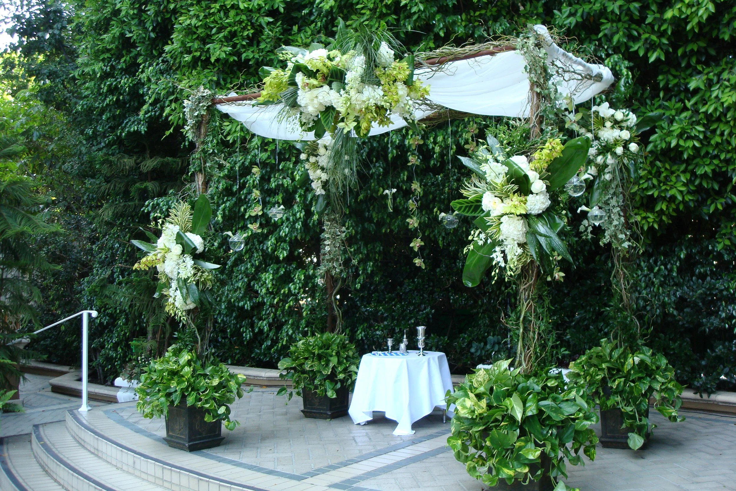  [chuppah] 