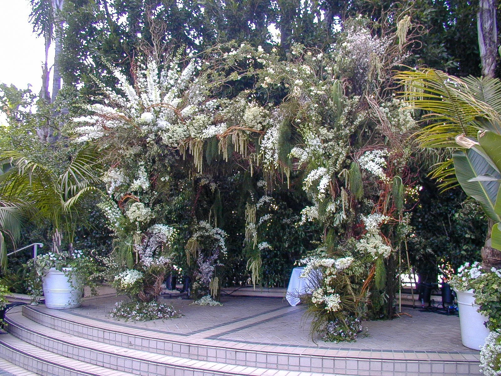  [chuppah] 
