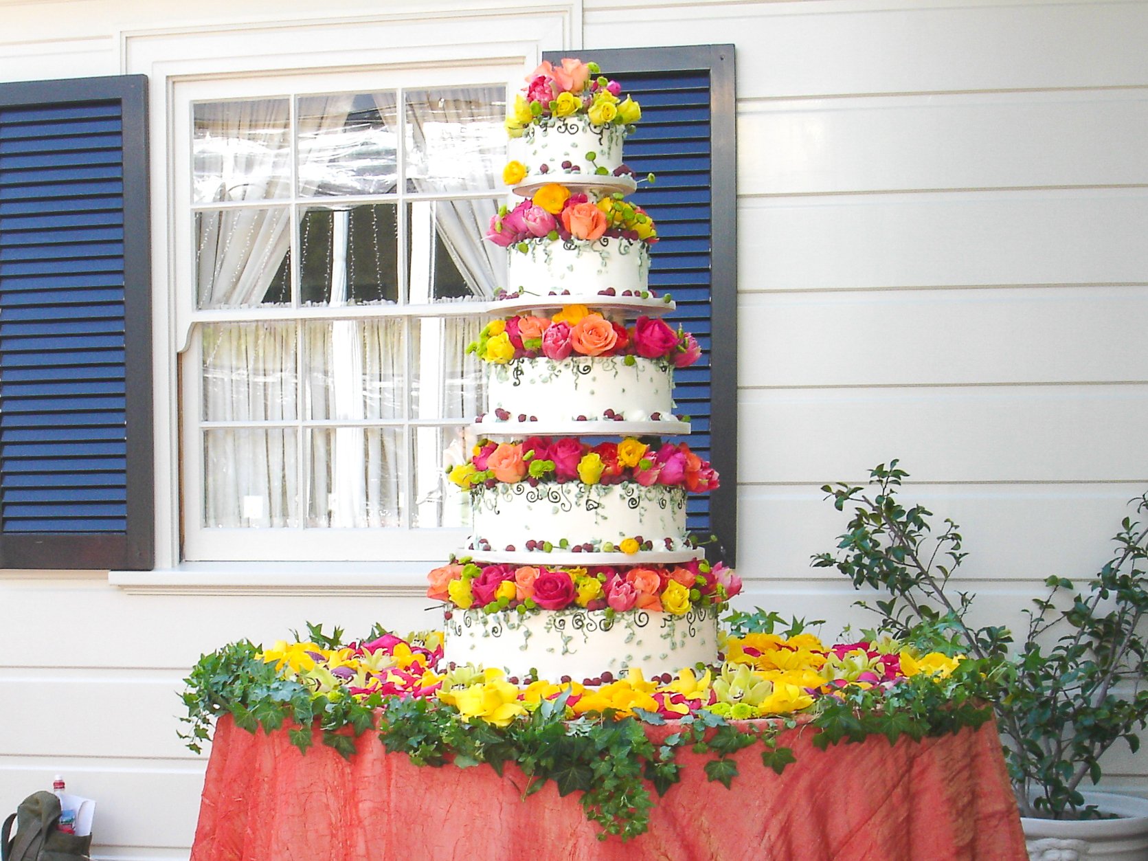  [cake] 