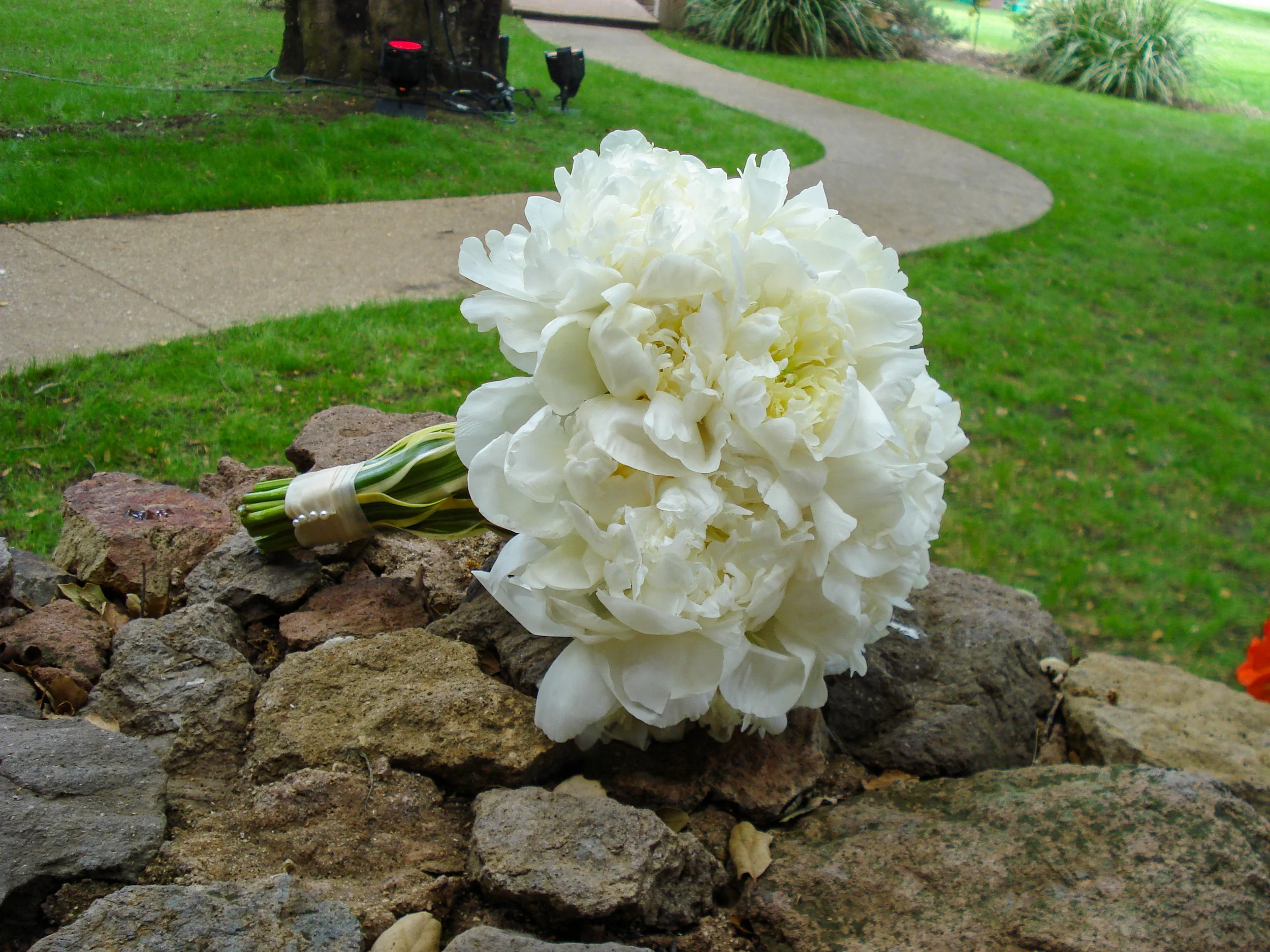  [bouquet] 