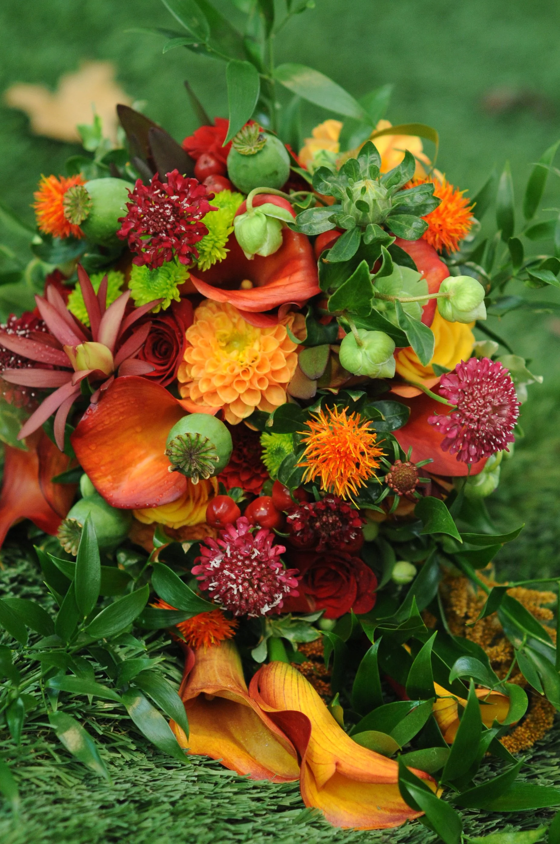  [bouquet] 