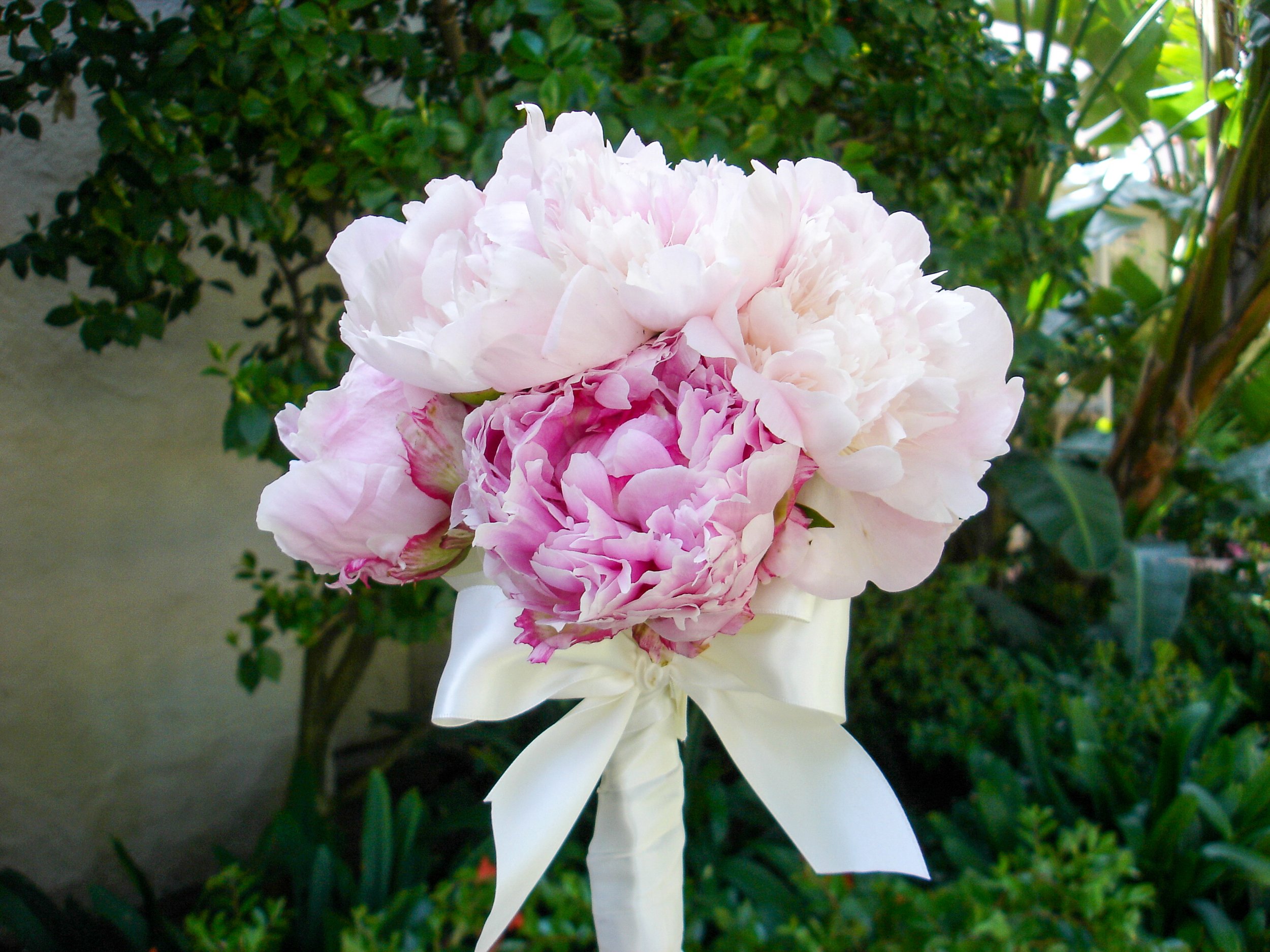  [bouquet] 