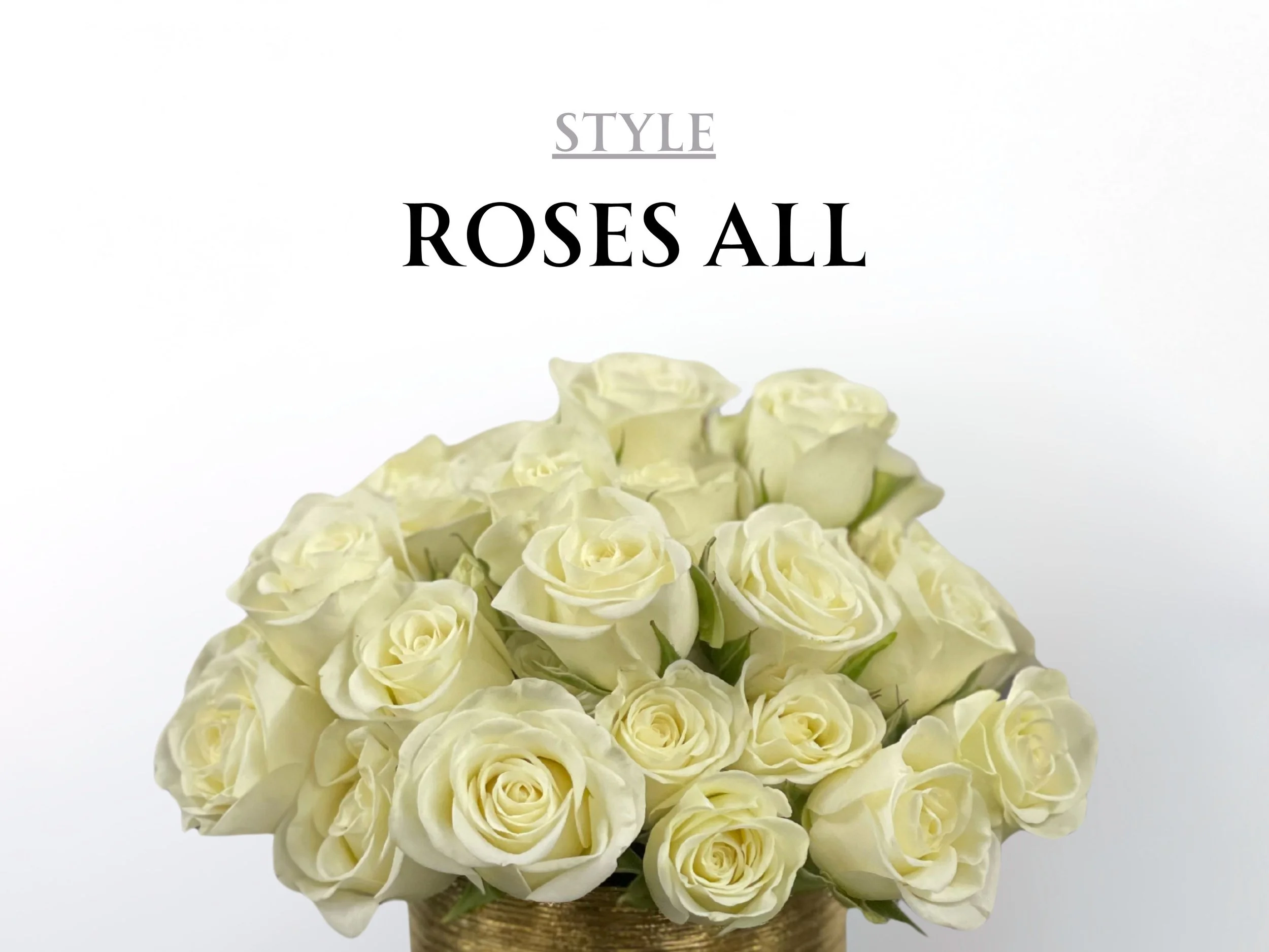  [styles] 