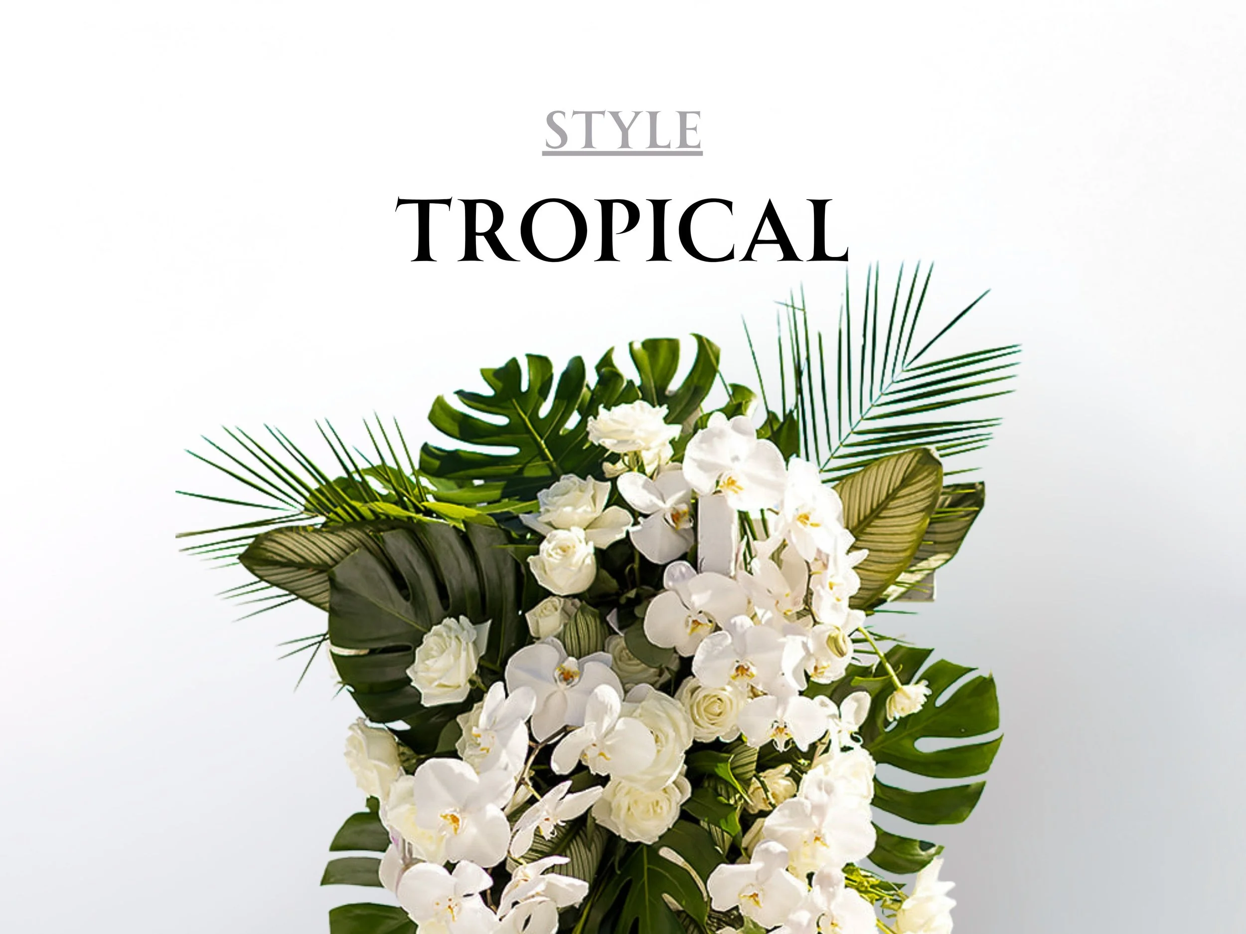  [styles] 