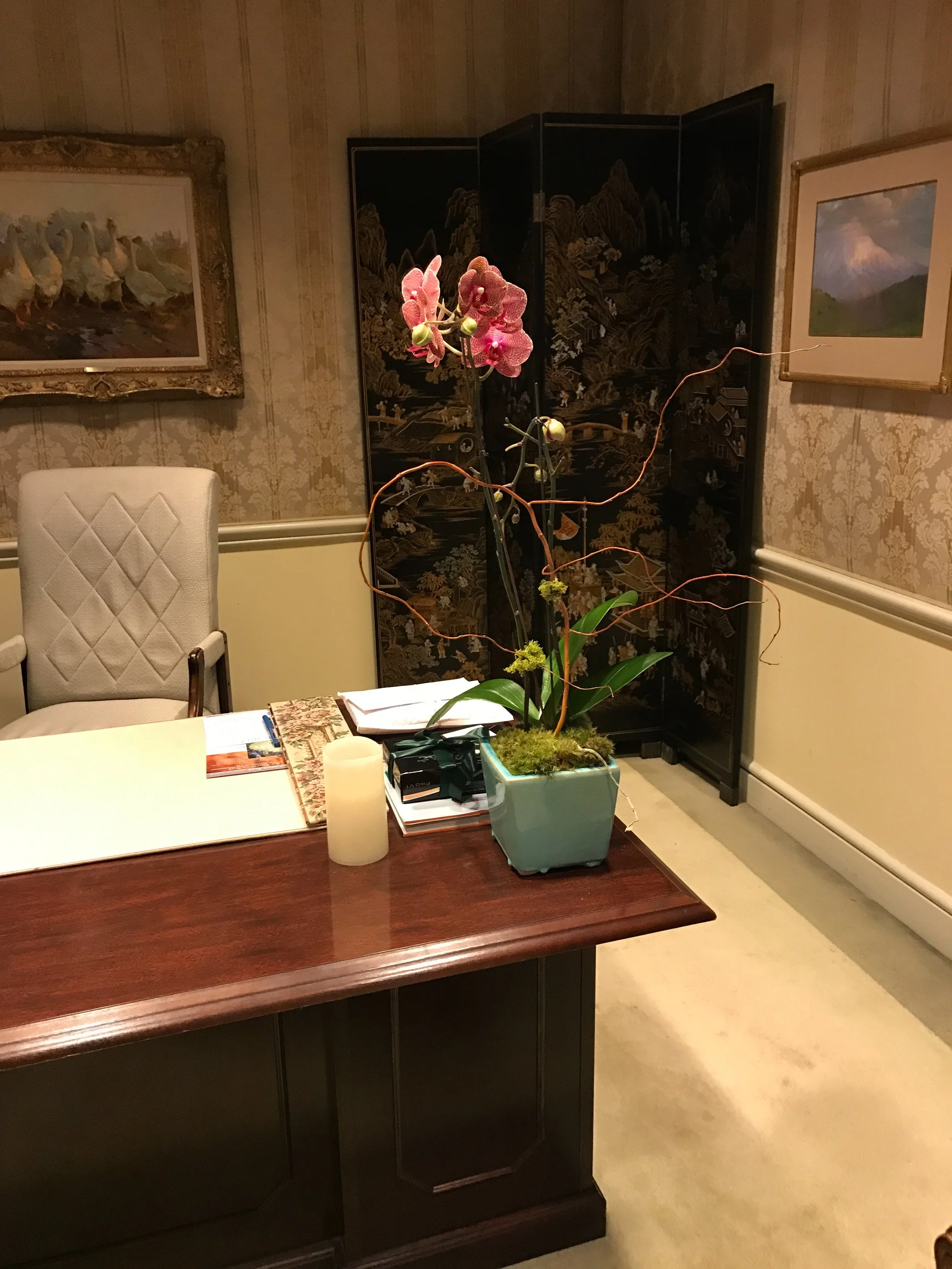  [orchids] 