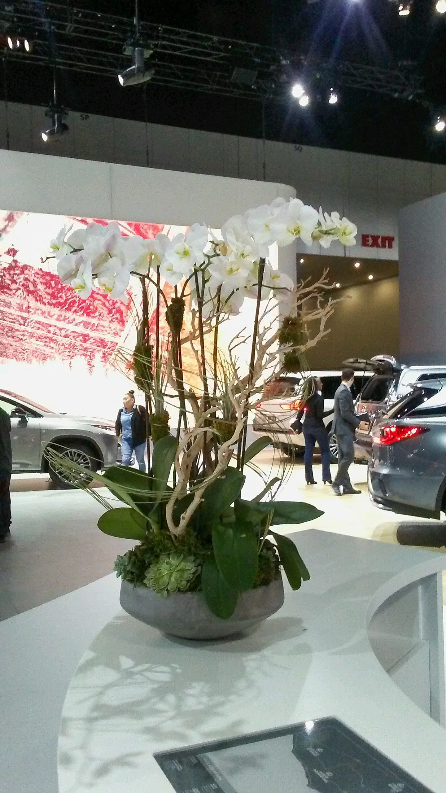  [countertop] [orchids] 