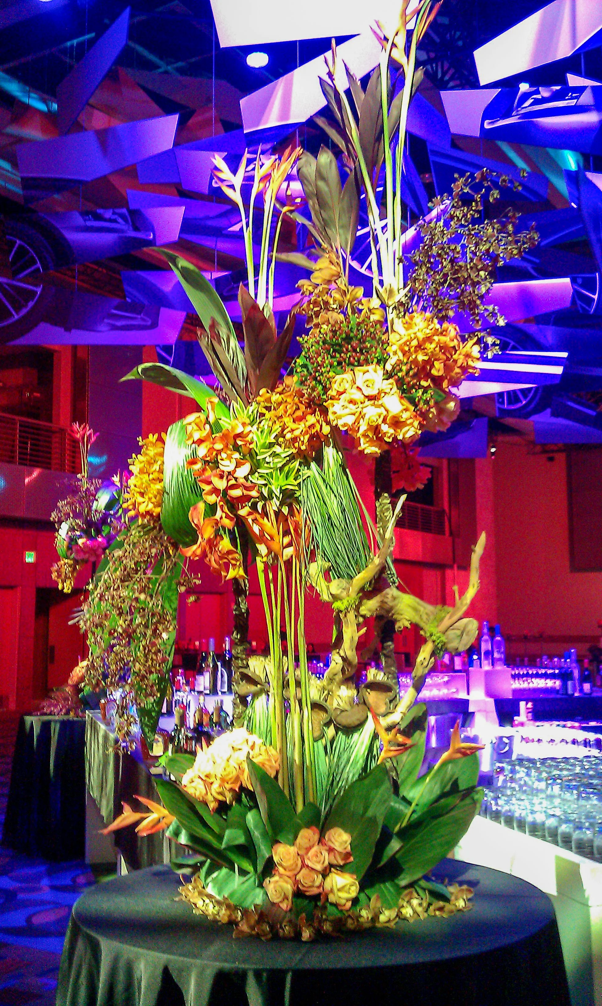 IMAG1507.jpg