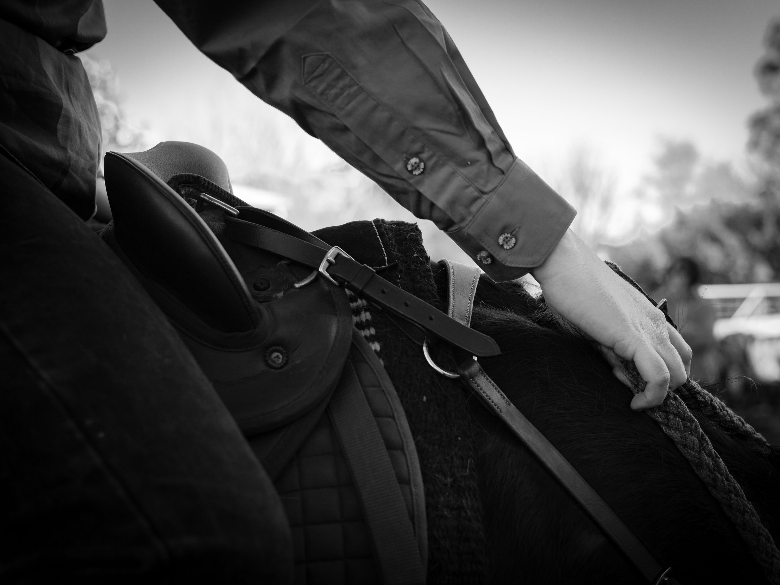 44 BIG ADVENTURE 9 2023 BW copy.jpg