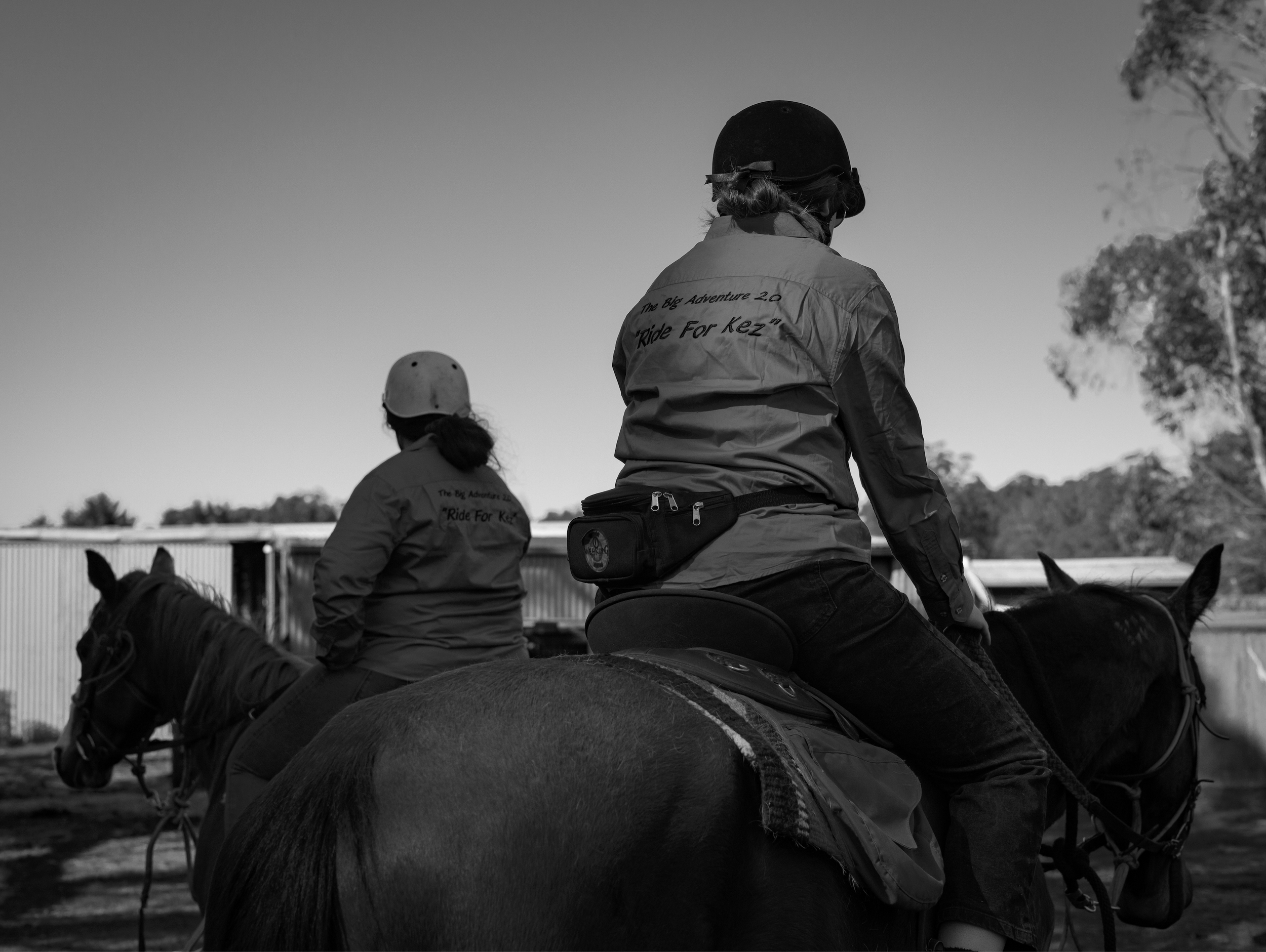 horses.
