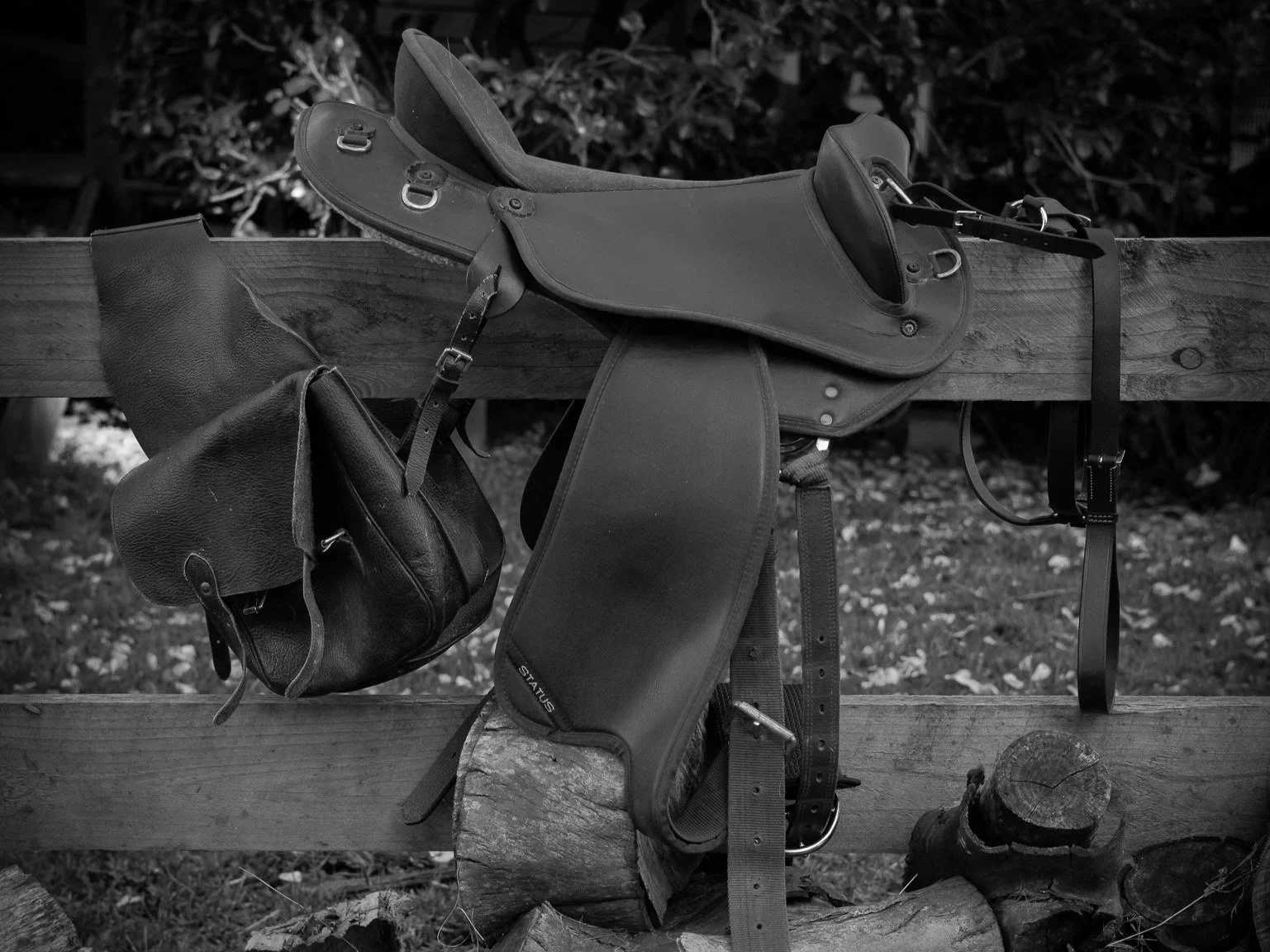 SMALL+BIG+ADVENTURES+BW+20.jpg