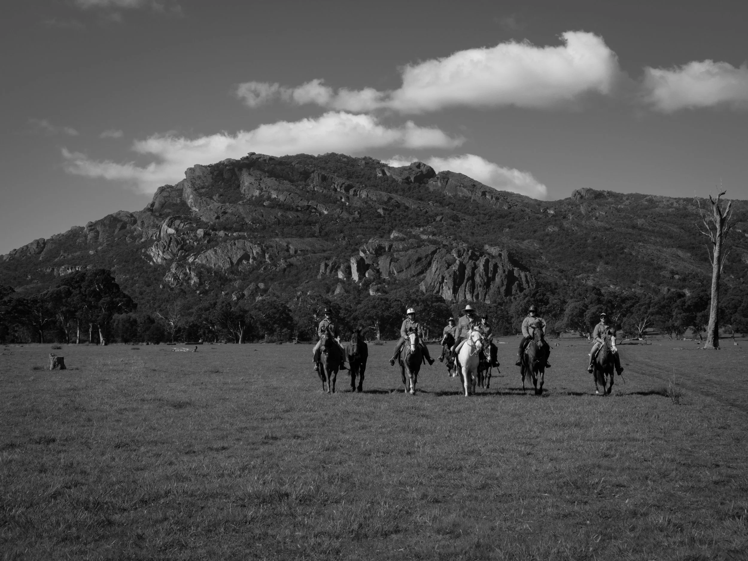 85 BIG ADVENTURE 9 2023 BW.jpg