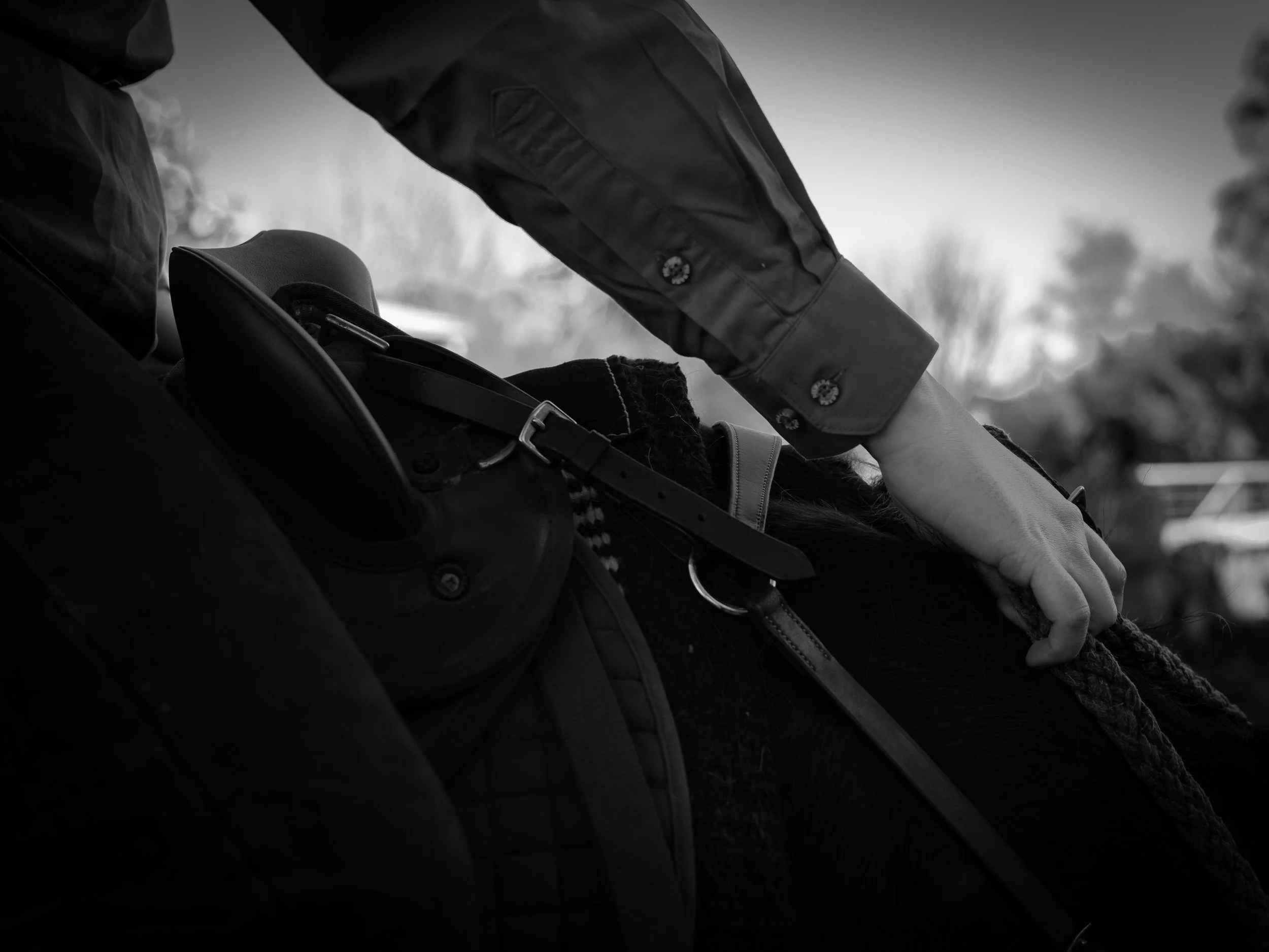 44 BIG ADVENTURE 9 2023 BW.jpg